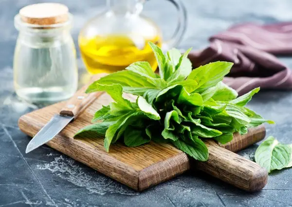 come-fare-un-oleolito